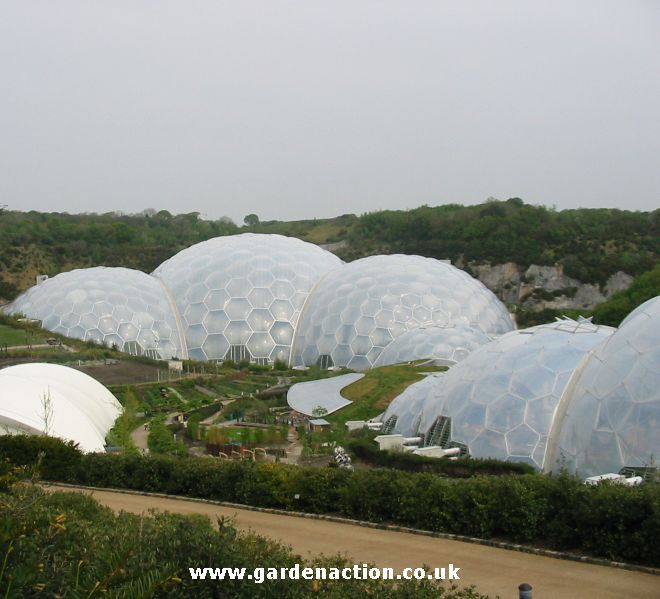 eden project biomes				